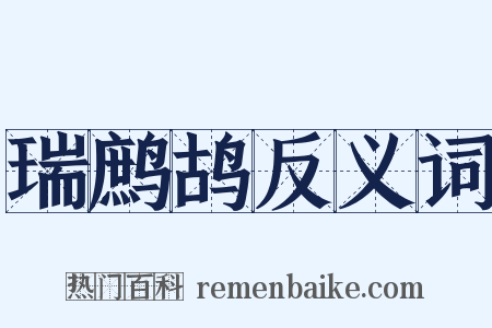 瑞鹧鸪反义词是什么意思的图片